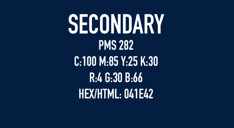 Secondary | PMS 282